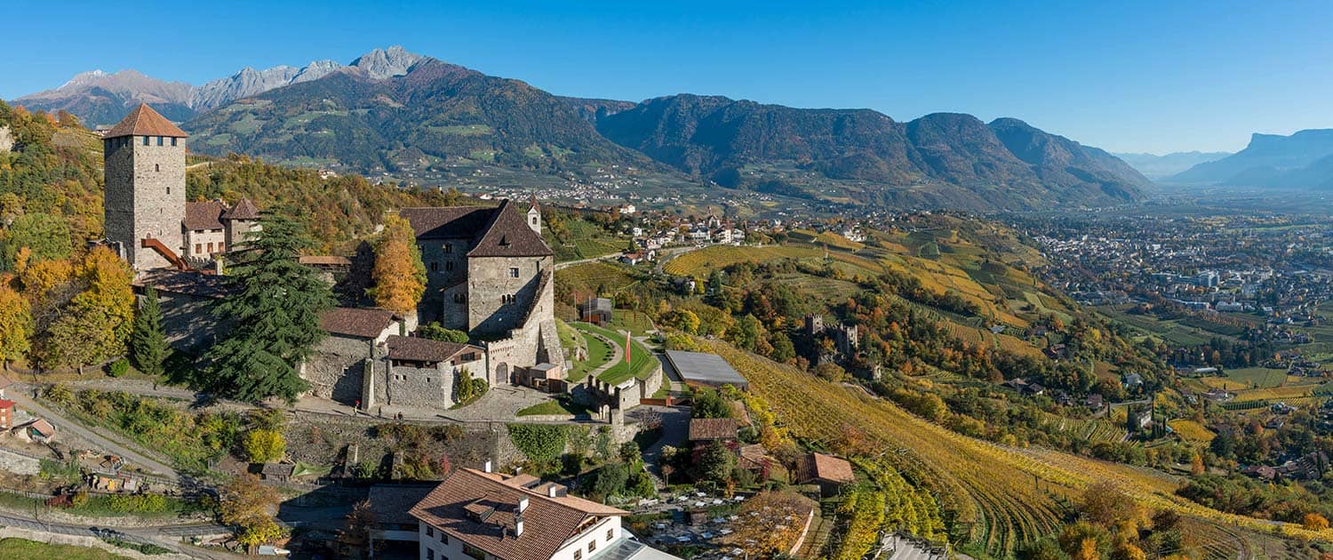 86 / Bastone animato - Castel Tirolo - Museo storico-culturale (BZ)