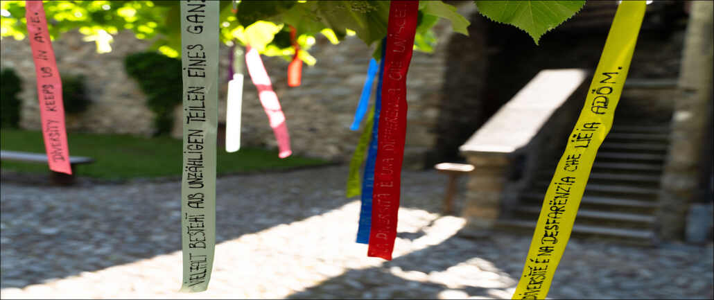intro_web_sommer 26_klein